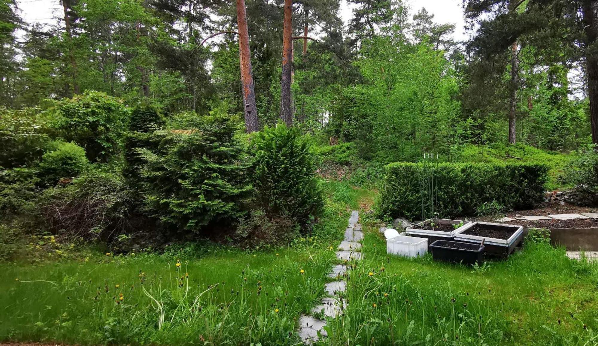 Holmenkollen Forest House Free Parking Daire Oslo Dış mekan fotoğraf