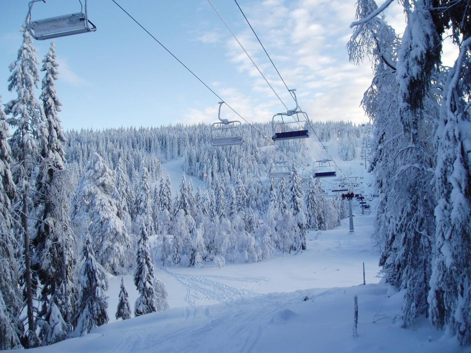 Holmenkollen Forest House Free Parking Daire Oslo Dış mekan fotoğraf